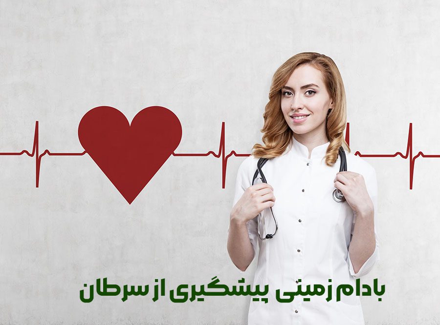 13 خواص و مزایای بادام زمینی(توضیح کامل) 3 بادام زمینی پیشگیری از سرطان