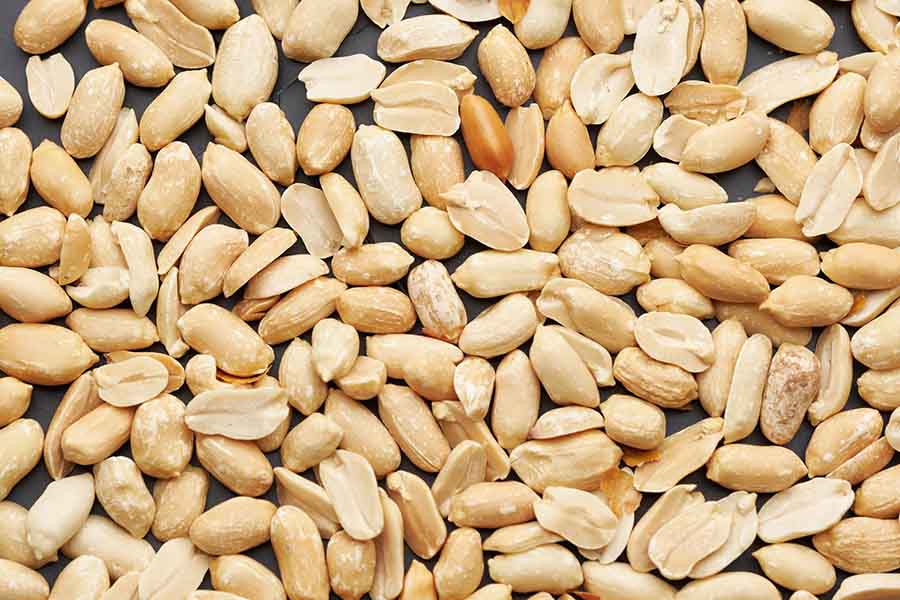 whole shelled peanut nuts kernels closeup studio background 220507 25433