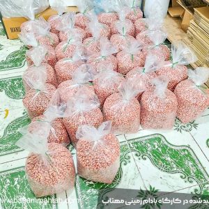 مغز بادام زمینی برشته و تازه | کیفیت عالی از کشاورز