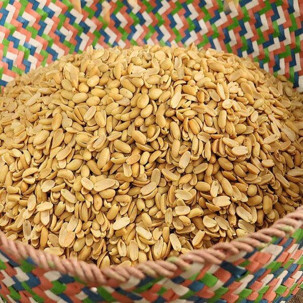 بادام زمینی مخصوص کره‌ گیری ایرانی عمده خرید از کشاورز