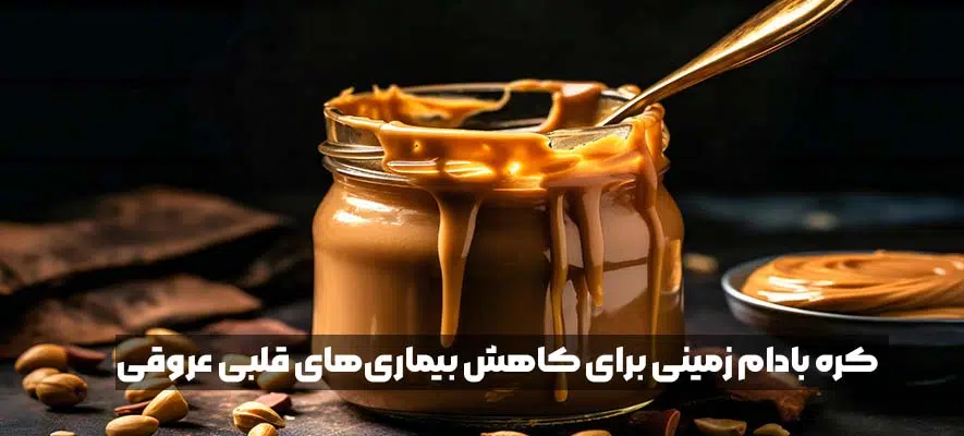 فواید کره بادام زمینی برای سلامتی چیست؟ 1 کاهش بیماریهای قلبی عروقی