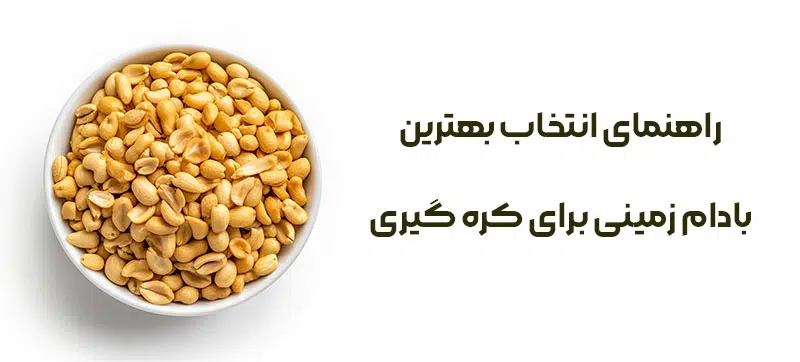 راهنمای انتخاب بهترین بادام زمینی مخصوص کره گیری