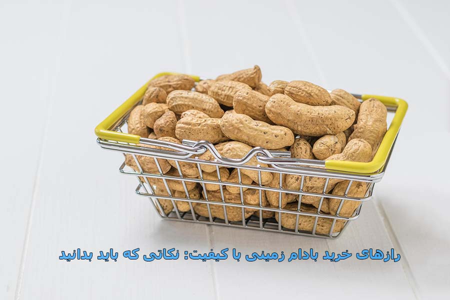 رازهای خرید بادام‌ زمینی با کیفیت: نکاتی که باید بدانید