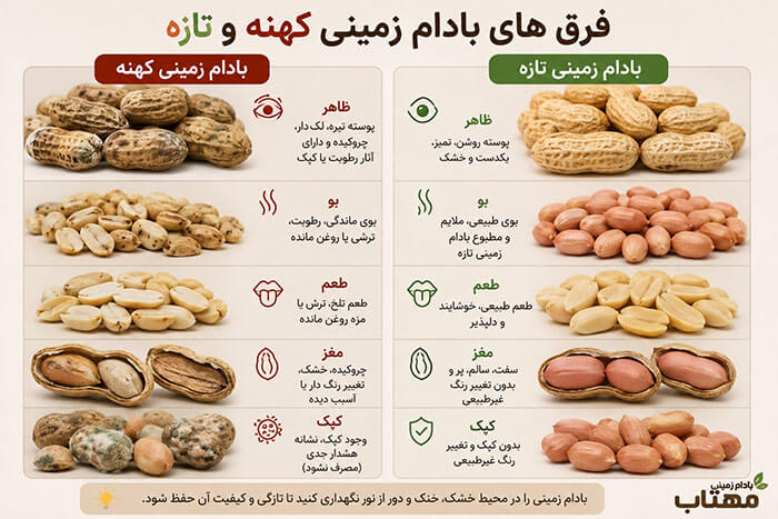 چگونه بادام زمینی تازه و باکیفیت را تشخیص دهیم؟ 1 چگونه بادام زمینی تازه و باکیفیت و کهنه را تشخیص دهیم؟