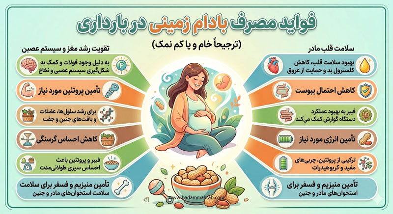 فواید مصرف بادام زمینی در بارداری