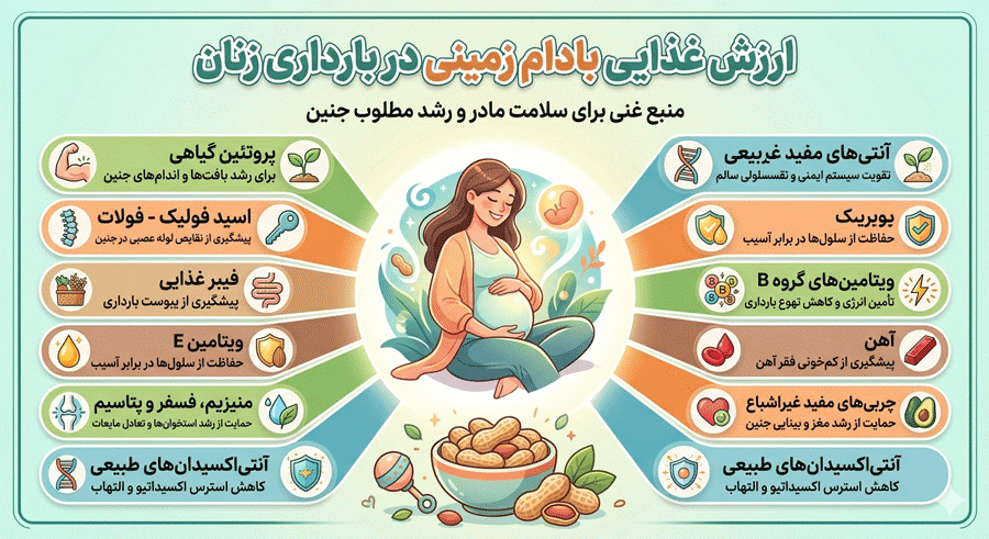 ارزش غذایی بادام زمینی در بارداری زنان