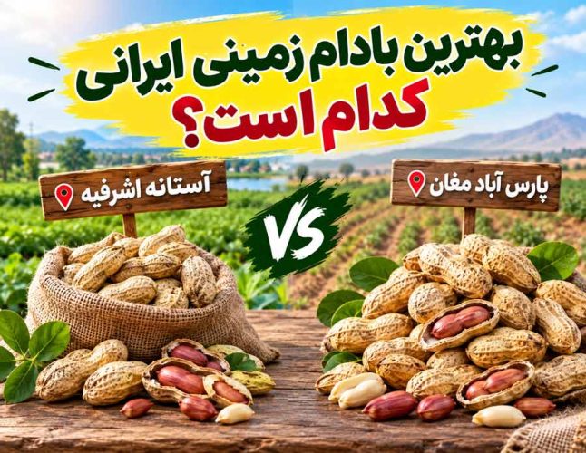 مقایسه بادام زمینی پارس آباد مغان با آستانه اشرفیه